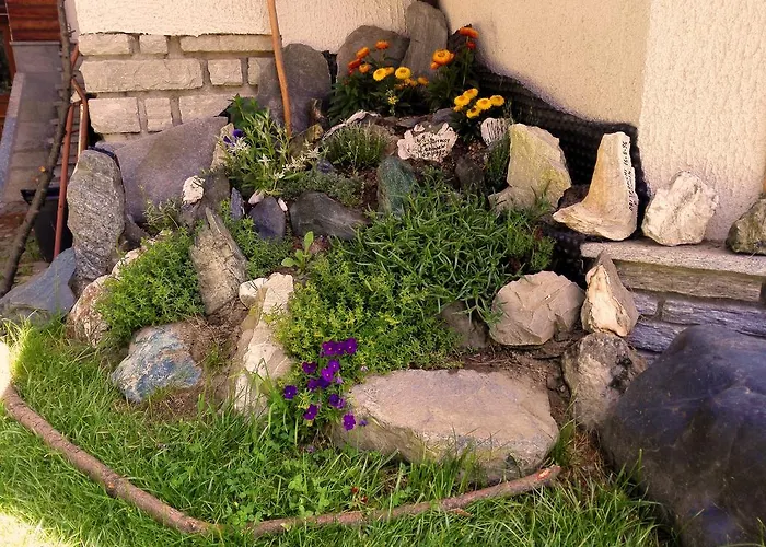 Hotel Bouton D'or - 3*